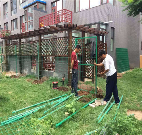 小区绿化