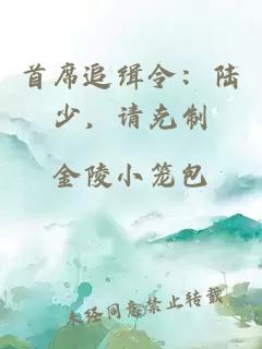 首席追缉令：陆少，请克制